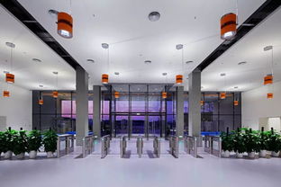 寶鷹精品項(xiàng)目 國際學(xué)校裝飾典范 薈同學(xué)校深圳校區(qū)